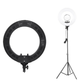 18" Professional Ring Light with Phone & Camera Holder