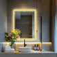 LED Backlight Bathroom Mirror with Anti-Fog and Dimmable Lights