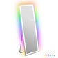 LUXE LED Full Length Rectangular Dressing Mirror with RGB Light and Stand